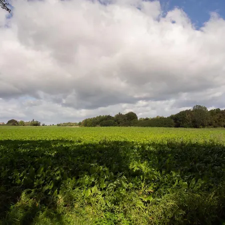 Kamilla's Cottage, 1 Km. From The